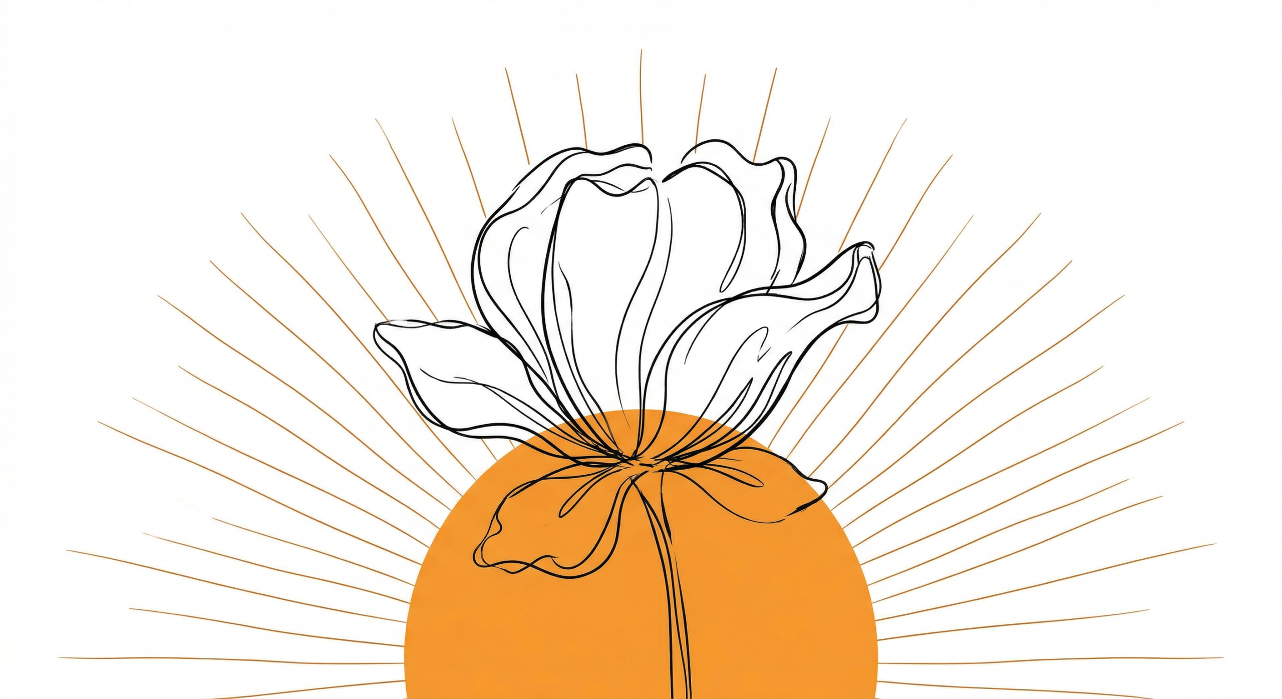 What Is Ovulation and Why Should Men Care?