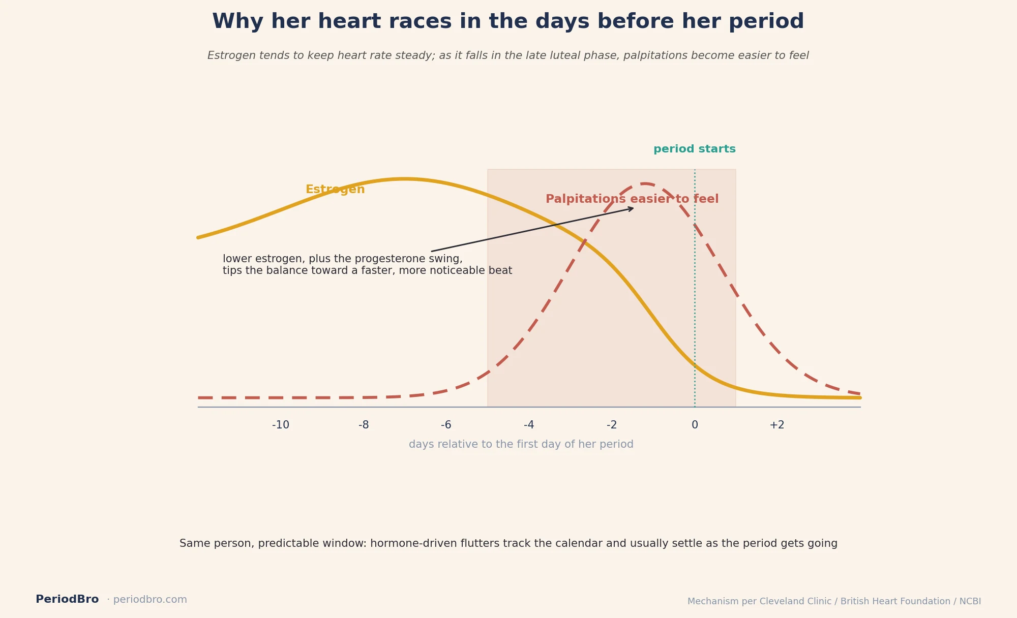 Diagram of period heart palpitations rising as estrogen falls in the late luteal phase