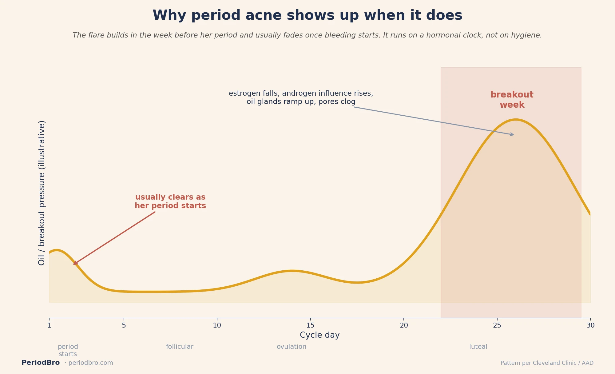 Period acne flare window across the menstrual cycle, peaking the week before her period