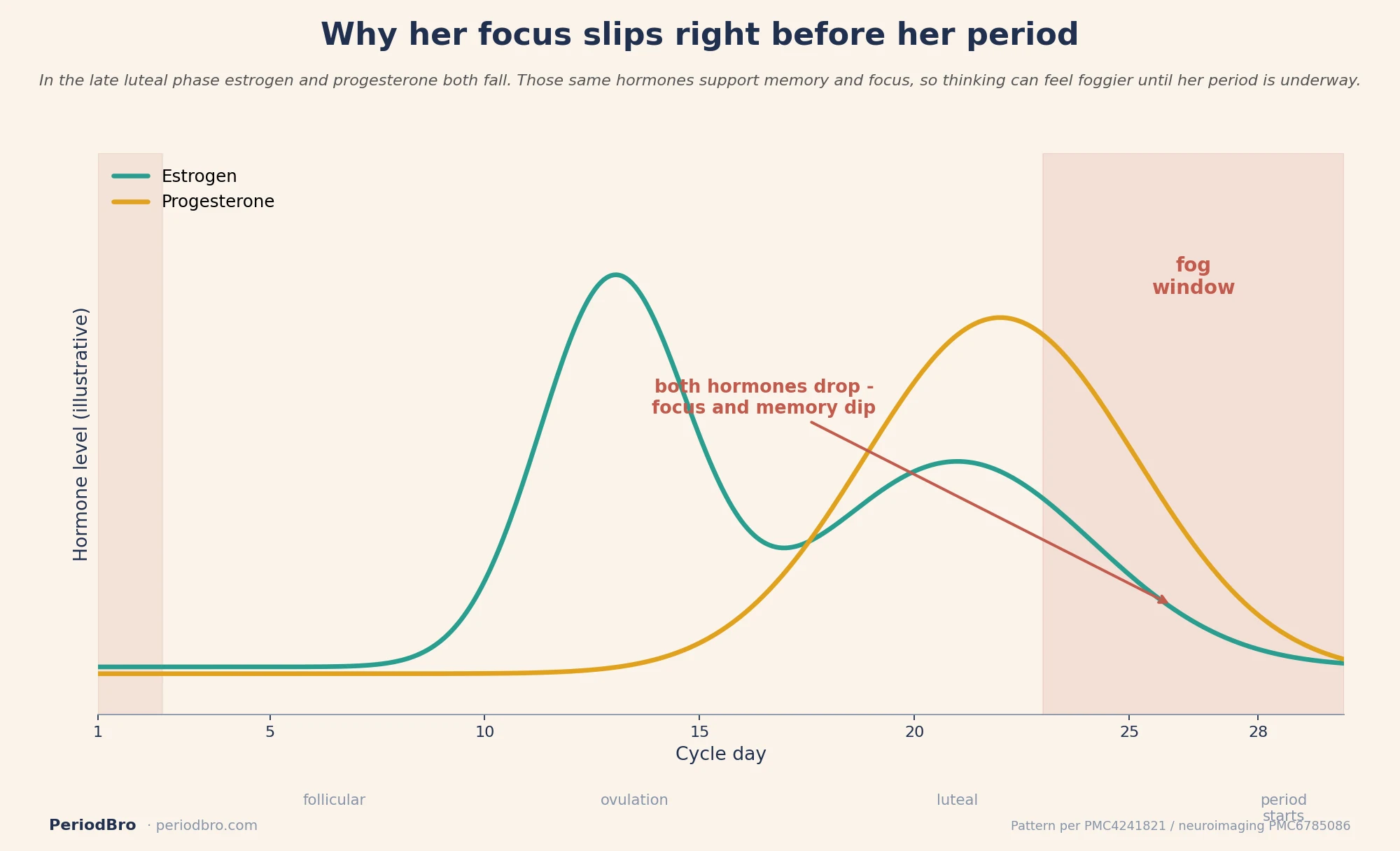 Period brain fog window: estrogen and progesterone both drop in the late luteal phase