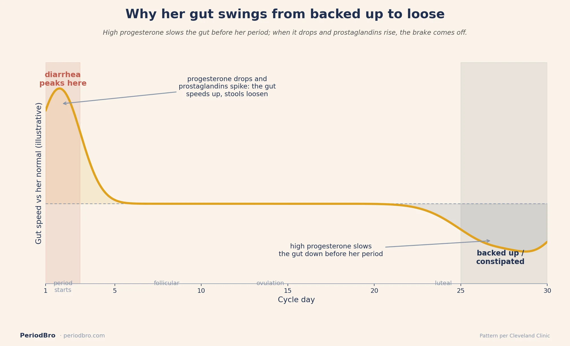 Period diarrhea timeline: the gut slows into constipation in the late luteal phase, then speeds up into diarrhea as the period starts.