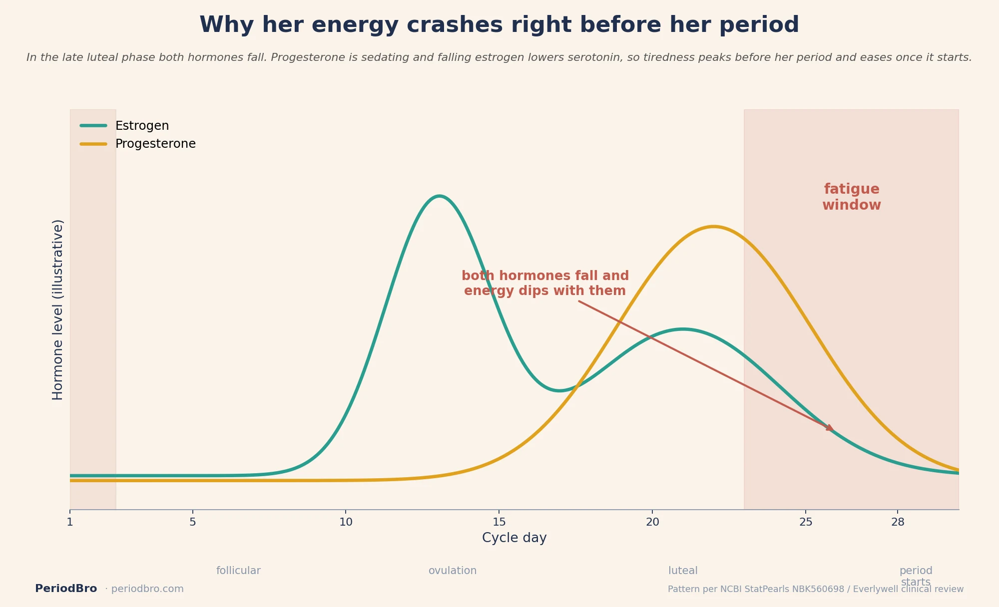 Period fatigue timeline: estrogen and progesterone fall in the late luteal phase and energy dips with them