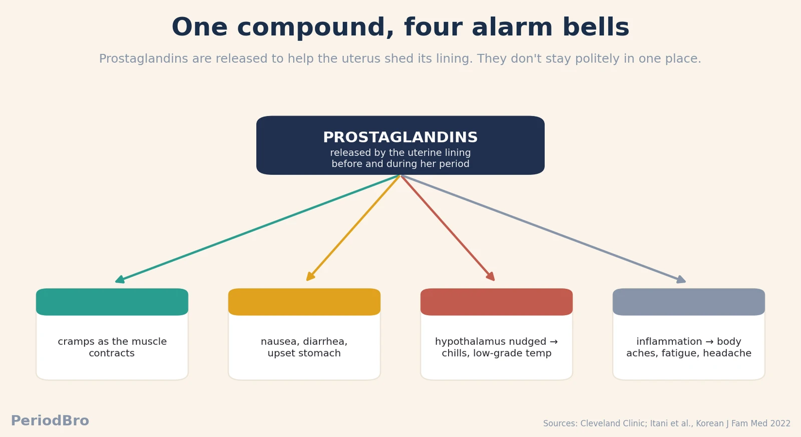 Diagram showing how prostaglandins released before her period affect the uterus, gut, brain and bloodstream, causing period flu symptoms