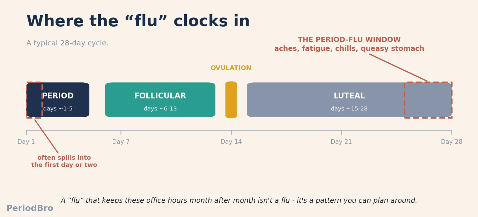 Diagram of a 28-day menstrual cycle showing the period flu window in the last days before bleeding and the first day or two of the period