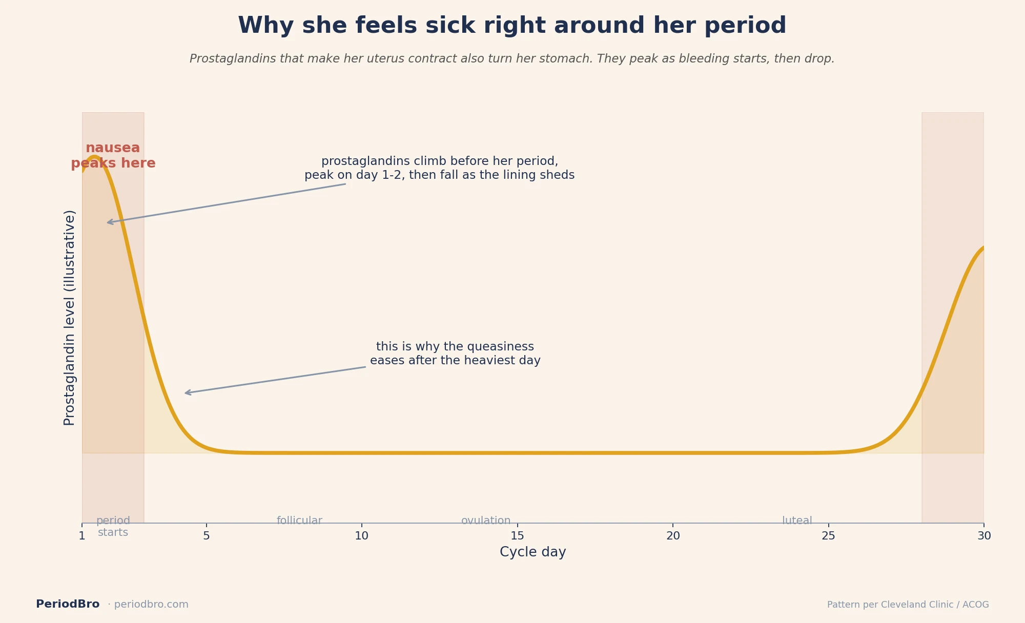 Period nausea prostaglandin window timeline: levels peak on day 1-2 of her period then drop