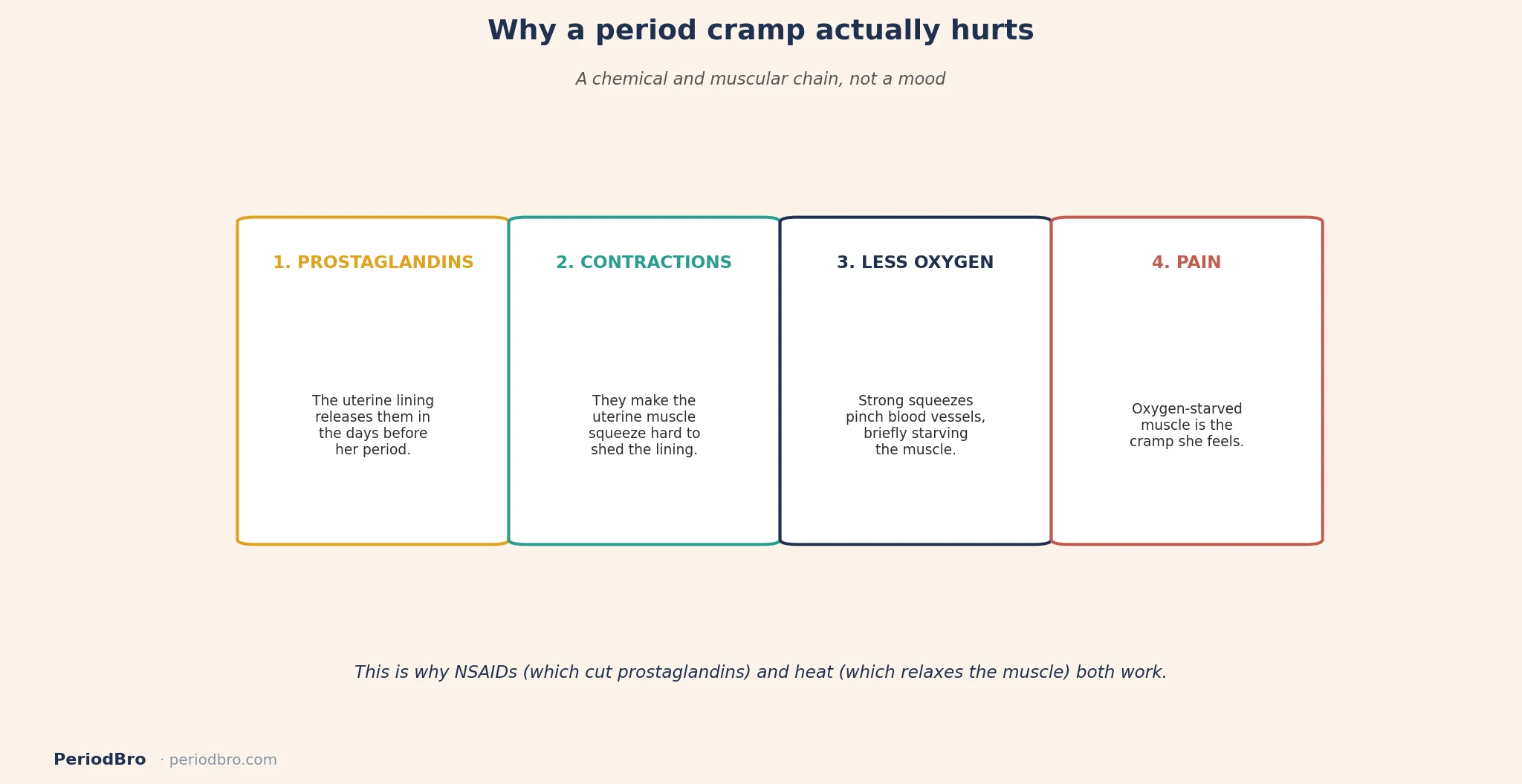 How period cramps work: prostaglandins trigger uterine contractions and pain