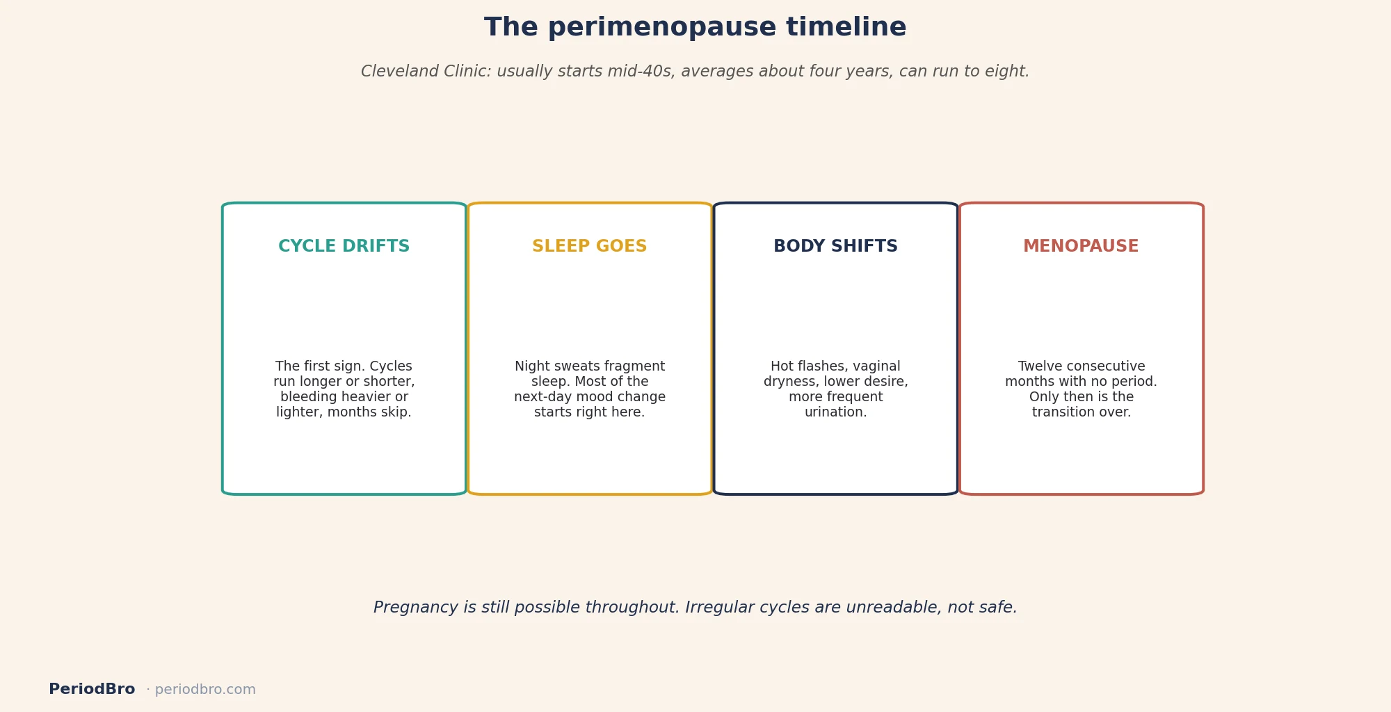 Perimenopause for partners: what changes and in what order
