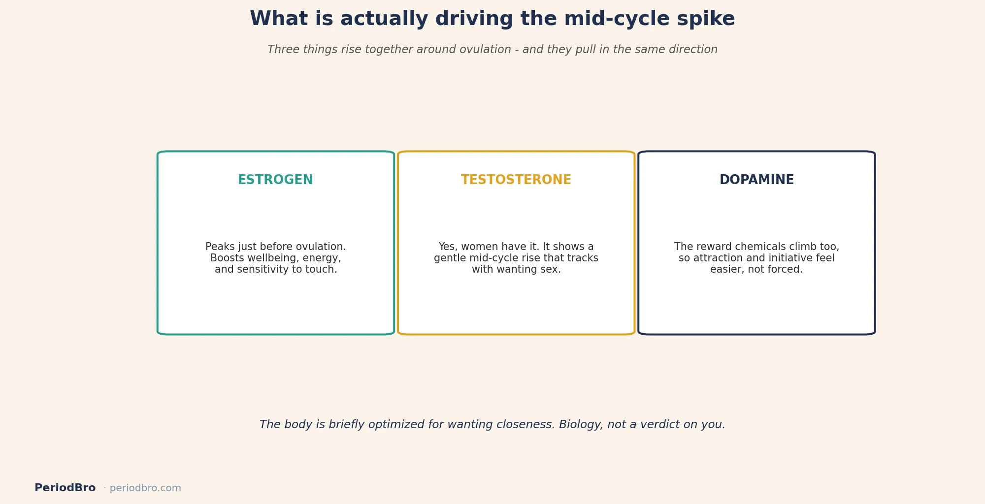 What drives the mid-cycle sex drive spike: estrogen, testosterone, and dopamine all rise together around ovulation