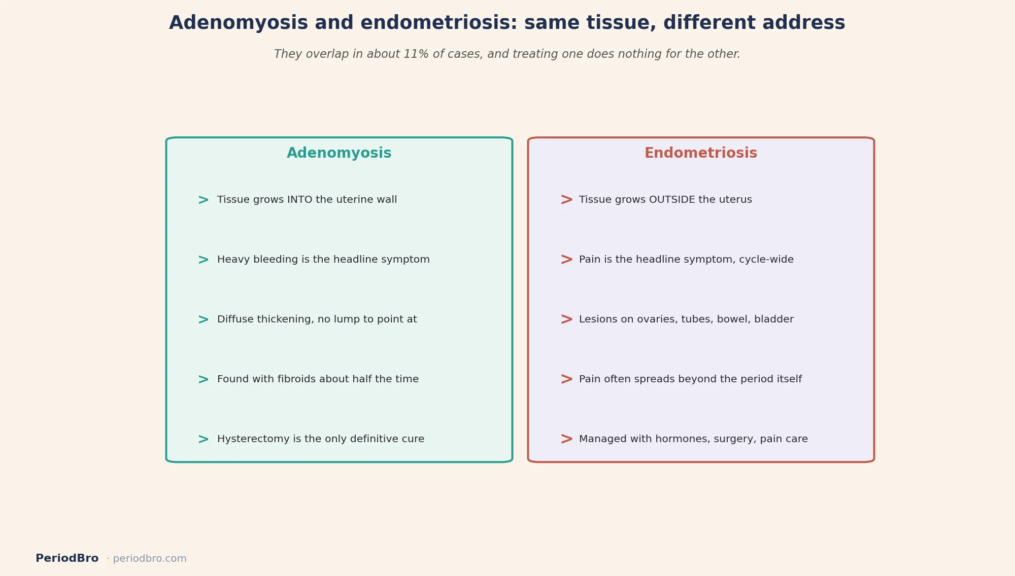 Adenomyosis vs endometriosis for partners: where the tissue sits and what that changes
