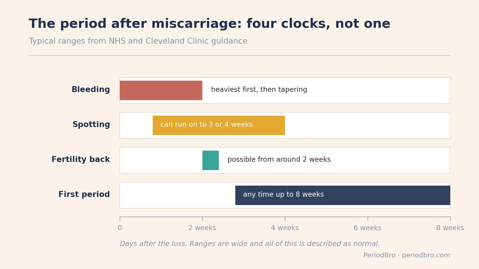 Timeline of the period after miscarriage, from bleeding through ovulation to the first cycle