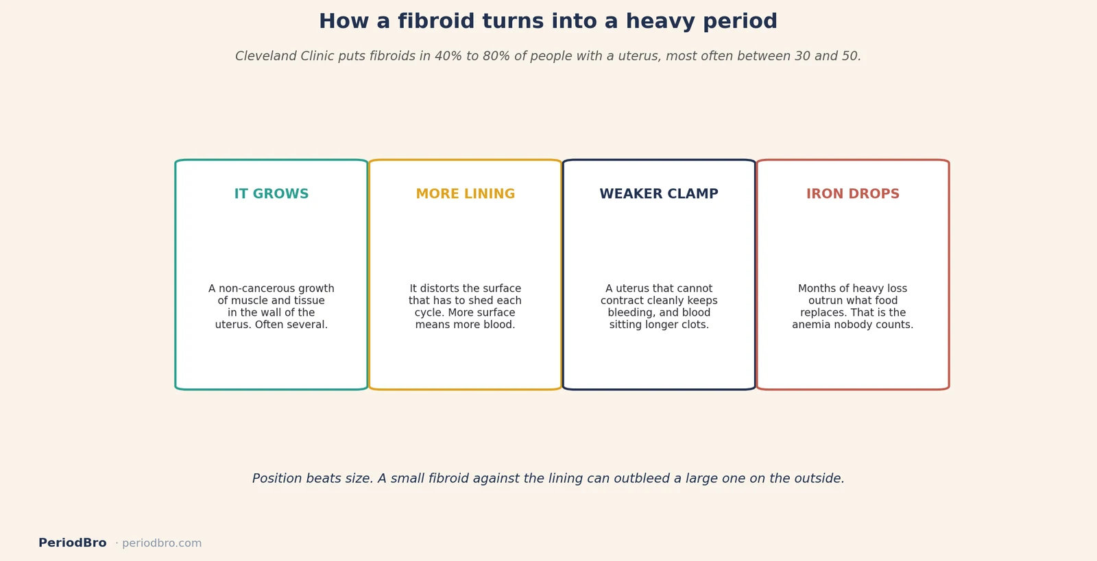 Fibroids and heavy periods: how a fibroid turns into a heavier, longer bleed