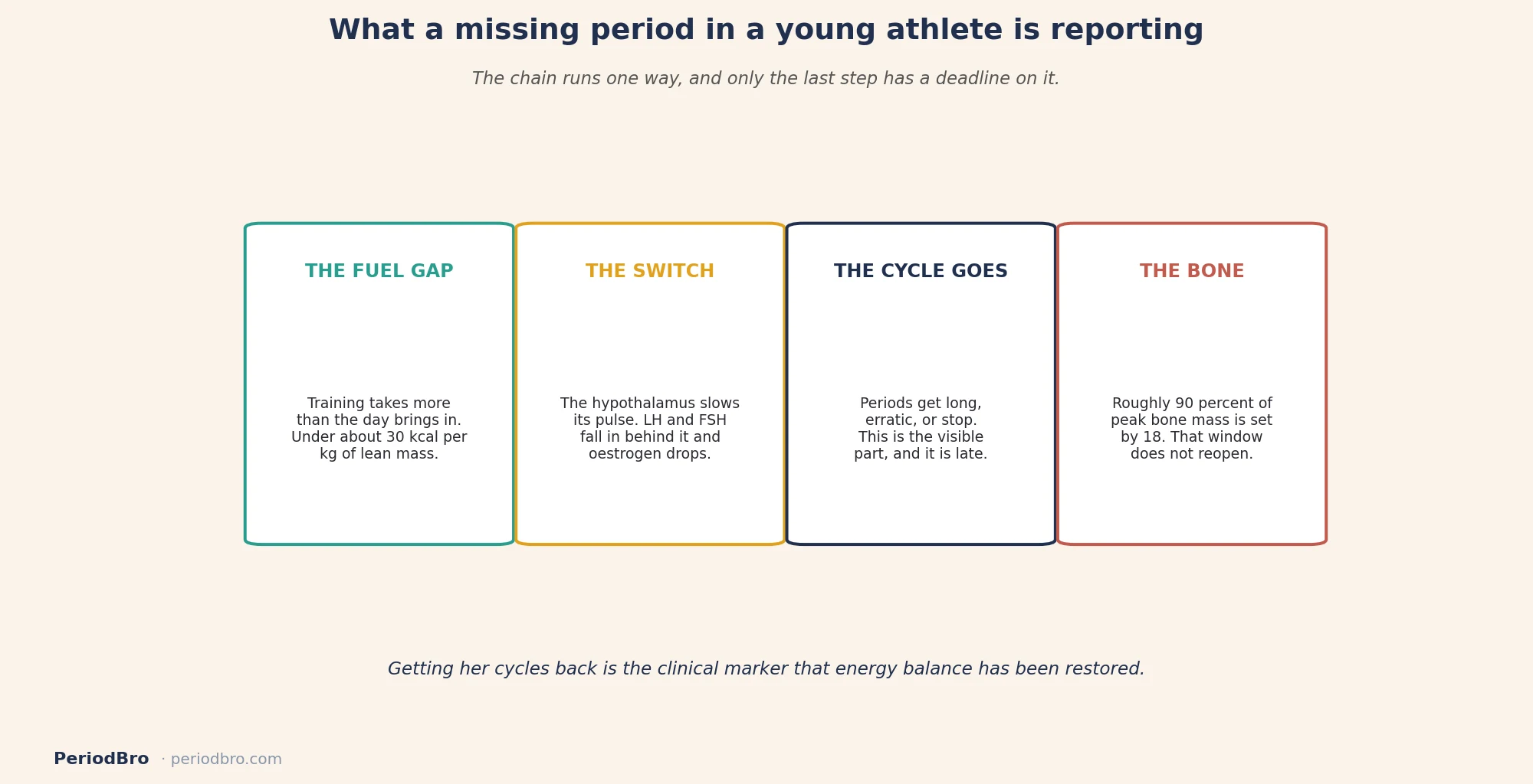 Teen athlete missed periods: how an energy gap becomes a stopped cycle and then lost bone
