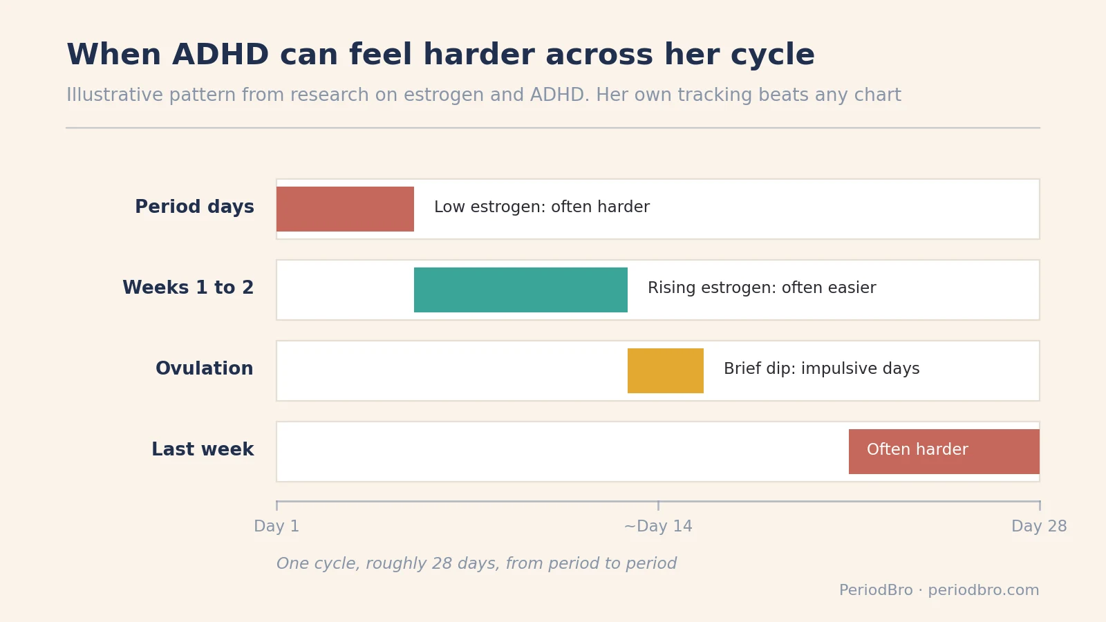 ADHD and periods timeline showing when symptoms can feel harder across the menstrual cycle