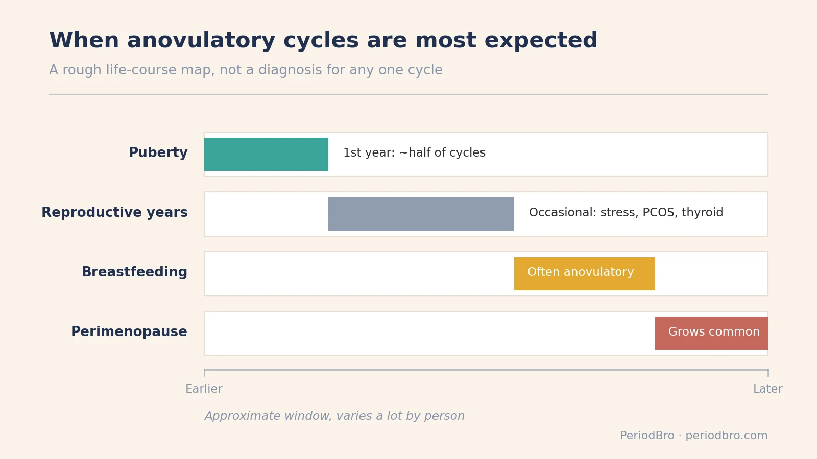 Timeline showing when anovulatory cycles are most expected: puberty, reproductive years, breastfeeding, and perimenopause