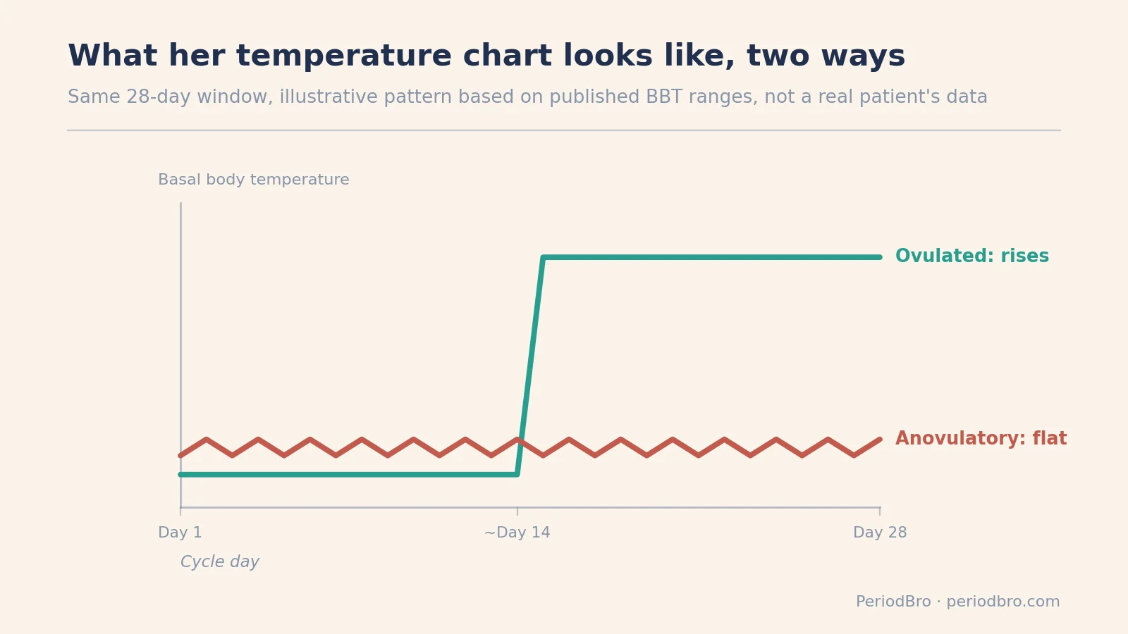 Chart comparing a typical ovulatory basal body temperature rise with the flat pattern seen in an anovulatory cycle