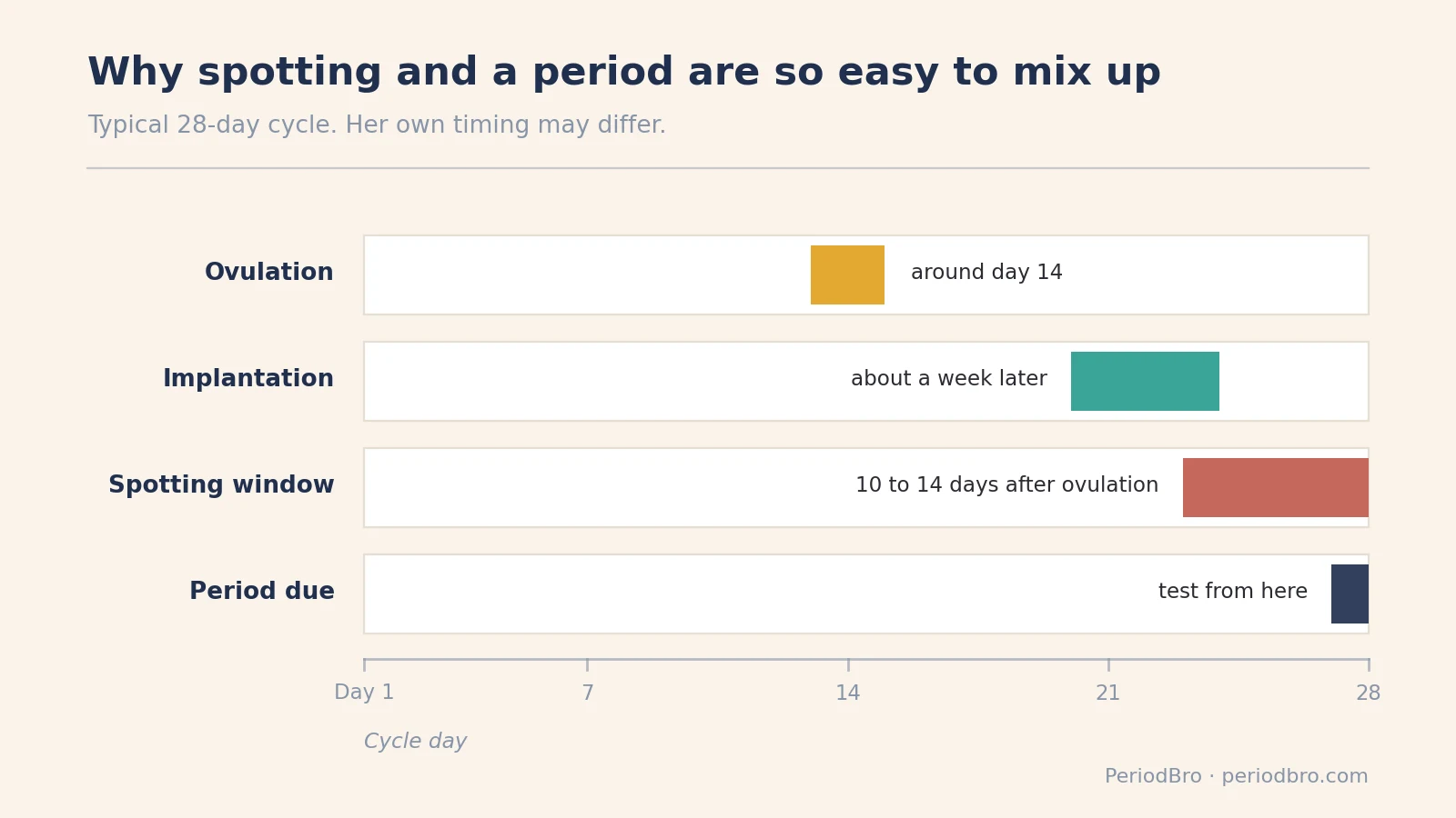 Implantation bleeding vs period: ovulation, implantation, spotting window and period due on a 28-day cycle