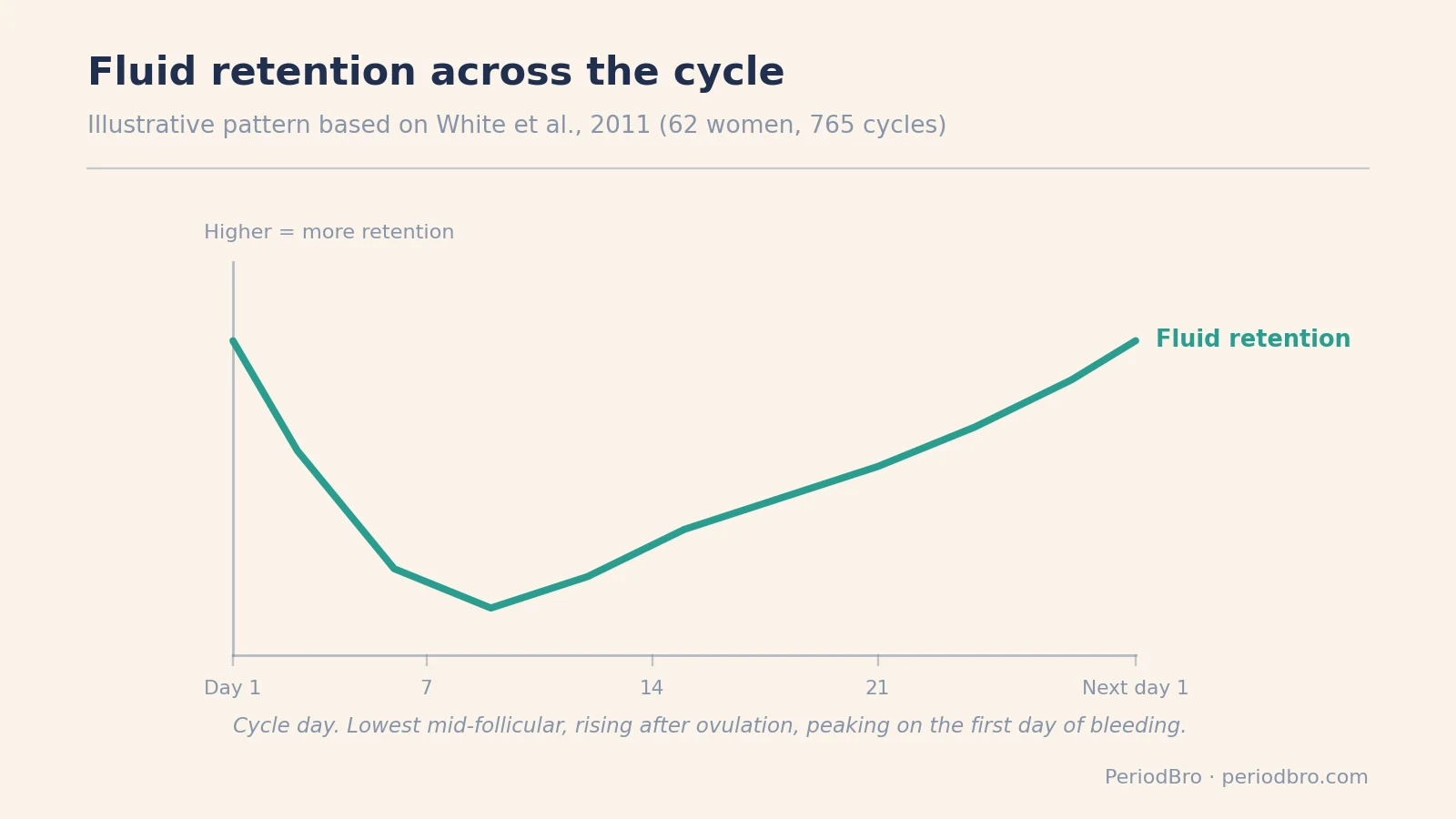 Weight gain before period: fluid retention across the cycle peaks around the first day of bleeding