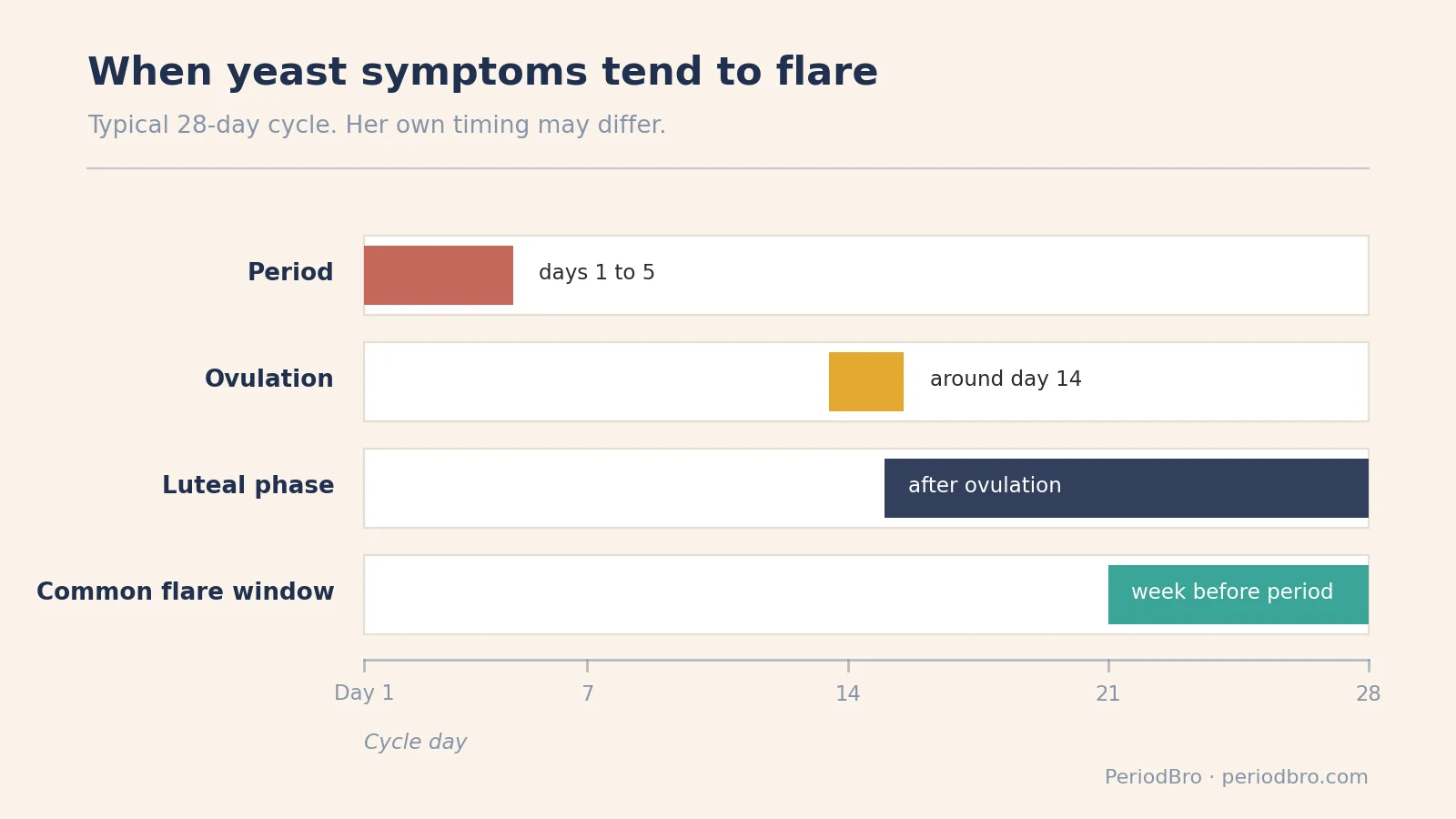 Yeast infection before period: the common flare window in the week before bleeding